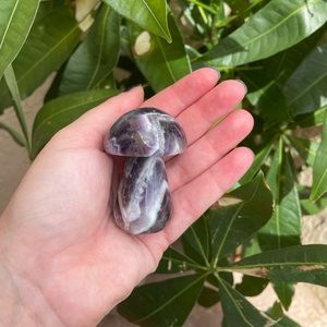 Dream amethyst mushroom